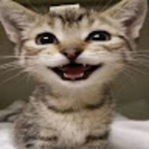 Meet your Posher, Leslie